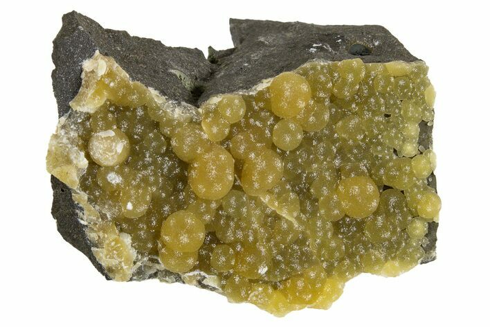Globular Yellow Calcite Formations on Basalt - Italy #325623